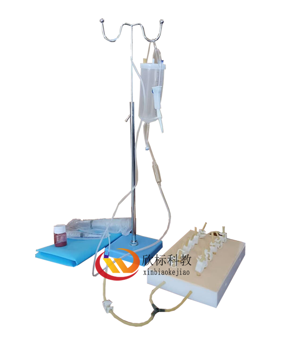 XB-LV61表面血管结扎止血操作模型