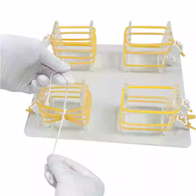 XB-LV9高级浅表打结技能训练模型